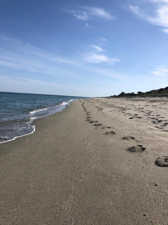 Mare E Monti Apartment Aleria  Bagian luar foto